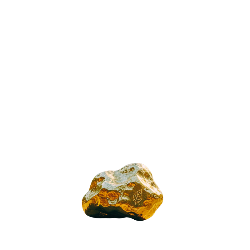 Gold nugget on natural rock